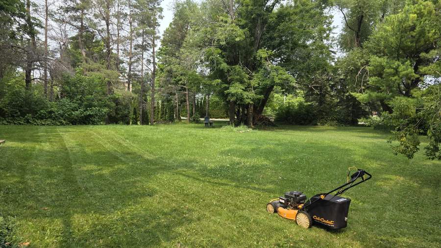 Open back lawn cut in stripes with a walk-behind mower parked on the grass