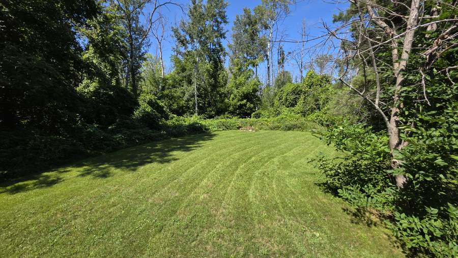 Curved lawn cut along a woodland edge