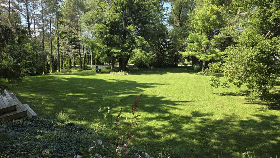 Large shaded property lawn with mature trees and a wooden deck